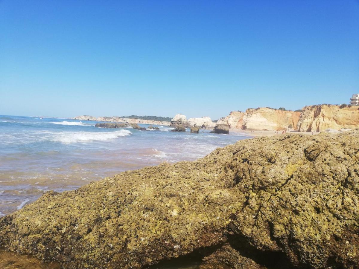 פורטימאו Rocha Praia Mar Beach Front Line Bay מראה חיצוני תמונה